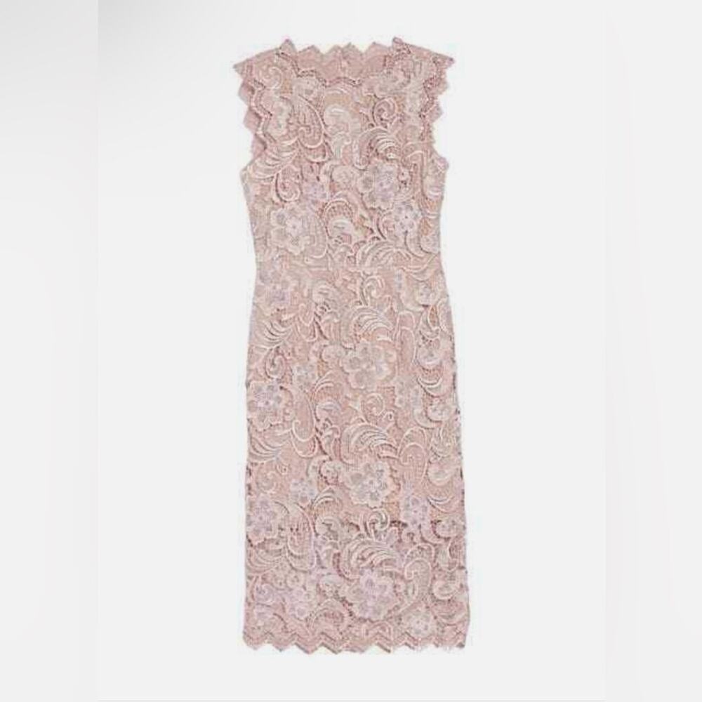 Dress The Population Cardea Guipure Lace Dress in Dusty Rose Pink Size S